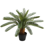 Kunsttaim CYCAS, H70cm, palmlehik, must pott