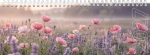 Lauakalender CLASSIC, kartongkaaned (PILT 2) 00308/41212
