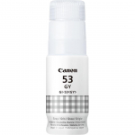 Canon GL-53, hall - Tindipudel