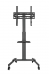 TV SET ACC FLOOR STAND 32-55"/TVS-55T-01 GEMBIRD