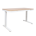Reguleeritav laud ERGO 1-mootoriga 120x60xH72-121cm, valge/tamm