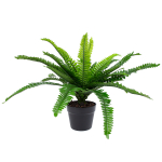 Kunsttaim BOSTON FERN, H60cm, s&otilde;najalg, must pott