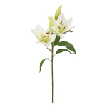 Kunstlill IN GARDEN H75cm, valge liilia