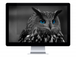 NATEC NFP-1478 Natec Privacy Filter RODO