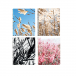 Kaustik spiraalk&ouml;ites A5 BRADLEY Valhalla ruuduline 80 lehte