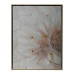 Seinapilt WALLY 45x60cm, v&otilde;ilill