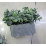 Kunsttaim GREENLAND potis, hall kivi