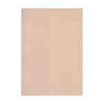 Dekoratiivpaber A4 120g CURIOUS Metallics Nude 50 lehte
