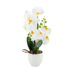 Orhidee GREENLAND H40cm valge pott, valge &otilde;is