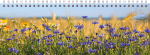 Lauakalender CLASSIC, kartongkaaned (PILT 3) 00308/41213