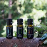 Leilil&otilde;hn RENTO, Eucalyptus 10 ml