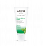 WELEDA TAIMNE HAMBAPASTA 75ML