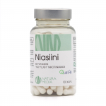 NM VITAMIIN B3 NIASIIN KAPSLID N100