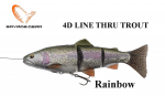 SAVAGE GEAR 4D Line Thru Trout Moderate Sink Rainbow trout 20 cm
