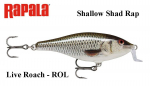 Rapala Shallow Shad Rap Live Roach 5 cm