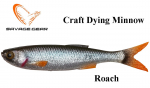 Kummikala Savage Gear Craft Dying Minnow Roach 5.5 cm