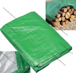 Present (Markiis) 2m x 3m roheline/hall .