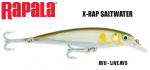 Rapala S&ouml;&ouml;t X-RAP Saltwater AYU 10 cm