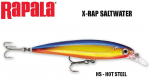 Rapala S&ouml;&ouml;t X-RAP Saltwater HS 14 cm