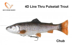 Kalap&uuml;&uuml;gi s&ouml;&ouml;t Savage Gear 4D Line Thru Pulsetail Trout Chub 20 cm