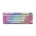 MSI FORGE GK600 TKL WIRELESS VIOLET | Gaming keyboard | Wireless | US | Mechanical Linear