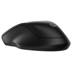 HP 255 Dual Wireless Mouse