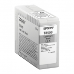 Epson C13T850900 light black