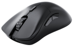 Glorious Gaming Glorious Model D 2 PRO Wireless - 4K/8K Polling - Black