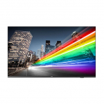PHILIPS B-Line 65BFL2214 18/7/UHD/350cd DVB-C/T2 (Speditionsversand)