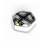 iRobot MINT Coding Roboter Root Pro f&uuml;r Kindergarten bis Universit&auml;ts Alter