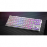 Genesis | THOR 404 TKL | Mechanical Gaming Keyboard | Wired | US | Gateron Yellow Pro | White | RGB