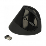 DELOCK Ergonomische USB Maus vertikal - kabellos 21310646