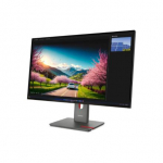 Lenovo | ThinkVision P32UD-40 | 32 " | IPS | UHD | 16:9 | 120 Hz | 4 ms | 3840 x 2160 pixels | 350 cd/m&sup2; | Black