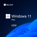 Windows 11 Pro - Licence - 1 licence - OEM - DVD - 64-bit - English