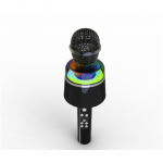 Gembird | Wireless Karaoke Microphone | MICBT-01-BK