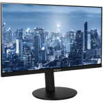 Targus DM4240SEUZ Secondary Monitor 24" with Display Port (ohne Power supply) black