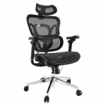 Equip Ergonomischer B&uuml;rostuhl+Kopf/Armst&uuml;tzen schwarz lite Retail