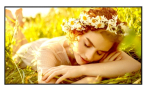 LG Electronics Monitor 86UL5Q-E 500cd/m2 UHD 24/7