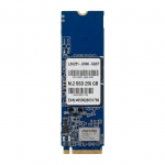 SSD - 256 GB - internal - M.2 - M.2 Card