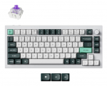 BOARD WRL Q1 HE RGB/SHELL WHITE Q1H-P1 KEYCHRON
