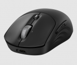 HP 705 Super Capacitor Wireless Mouse - Multi-Device, Programmable, 4-way scrolling, Ultra-Fast Rechargeable, Multi Surface, 6000 dpi - Black