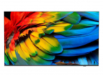 Philips 50HFL6214U 127 cm (50") 4K Ultra HD Smart TV Wi-Fi Anthracite 400 cd/m&sup2; Rollable display