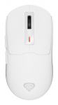 GENESIS NMG-2194 mouse Gaming Ambidextrous Bluetooth + USB Type-C Optical 26000 DPI