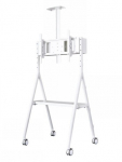 NEWSTAR MOBILE FLAT SCREEN FLOOR STAND (HEIGHT: 110 - 144 CM) 32-65" WHITE