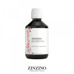 BalanceOil+ Greipfruudi, sidruni ja laimų maitsega toidulisand, 300ml