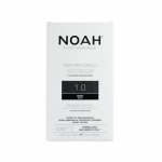 Permanent Hair Dye 1.0 Black P&uuml;siv&auml;rv juustele, 140 ml