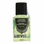 Strong Mint Mouthwash Piparm&uuml;ndi suuvesi, 30 ml