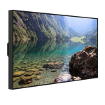 Hisense | Window Facing - High Brightness Display | 75WH80GE | 75 " | Landscape/Portrait | 24/7 | Android | Wi-Fi | 9 ms | 178 &deg; | 178 &deg; | 4000 cd/m&sup2;