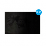 Natec | Privacy Filter Owl, 14", 16:10 | NFP-2477