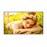 LG 4K UHD Signage | 55UL5Q-E | 55 " | 500 cd/m&sup2; | Landscape/Portrait | 24/7 | webOS | Wi-Fi | 178 &deg; | 178 &deg;